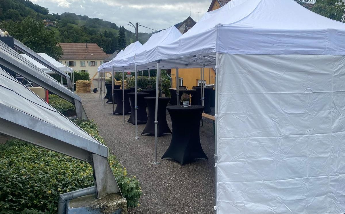 WhatsApp Image 2026-01-05 at 15.06.47